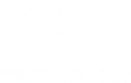 Repuestos MAXUS